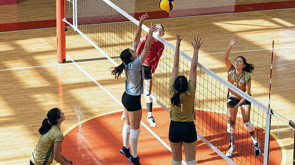Ba mươi năm MOP bóng chuyền nữ NCAA: đọc danh sách như đọc mặt cắt địa tầng